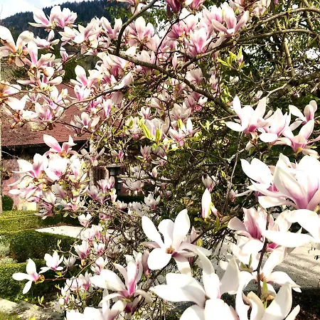 Feriehus Le Magnolia *